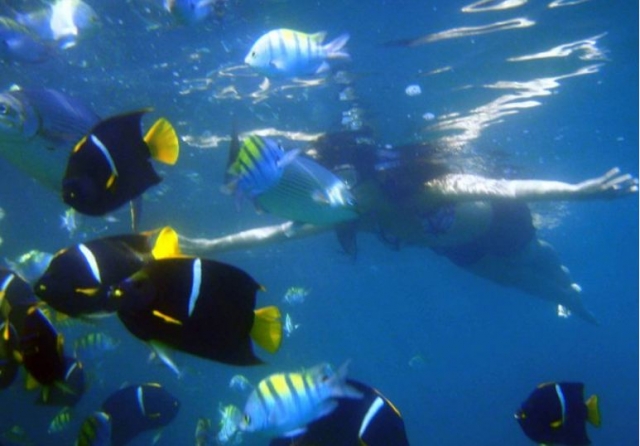 Snorkel en el mar